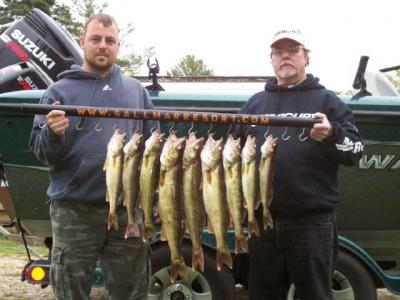 Todays walleye catch...